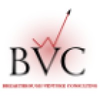 Breakthrough Venture Consulting