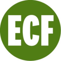 Evanston Community Foundation logo - Similar company to Mayfest Productions