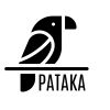 Pataka App logo - Similar company to Pataka Ai
