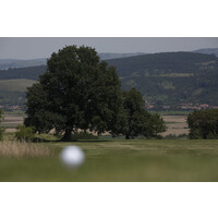 marius popescu logo - Similar company to Daxxa Contracting B.V.