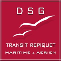 DSG TRANSIT REPIQUET logo - Similar company to One Solution Ts