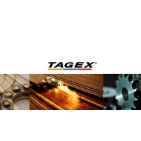 Tagex South Africa logo - Similar company to Dfs Solutions