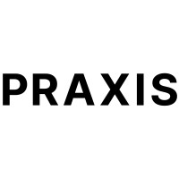 Praxis Musical Instruments logo - Similar company to Squall Growth