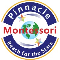 Pinnacle Montessori Franchise Company logo - Similar company to Techdigi Reacts