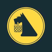 Netto Polska, Salling Group logo - Similar company to Netto, Salling Group