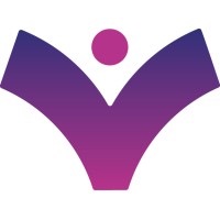 Virtual Insights logo - Similar company to Try Touch Service