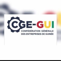La confédération Générale des Entreprises de Guinée (CGE-GUI) logo - Similar company to Bureau Des Informations || Eilco