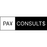 Pay Consults logo - Similar company to High Risk Payments Intel