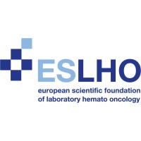 ESLHO logo - Similar company to Escca