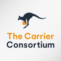 The Carrier Consortium LLC logo - Similar company to Baysource Global