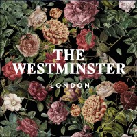 The Westminster London, Curio Collection by Hilton logo - Similar company to The Arterial Group