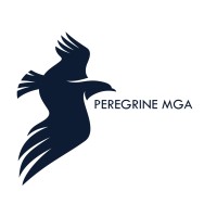 Peregrine Risk Consulting Ltd logo - Similar company to Doe & Emuss