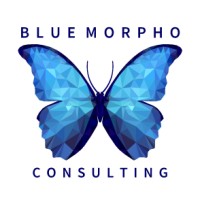 Blue Morpho Consulting logo - Similar company to Morpho Digital