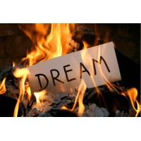 Dream it institute logo - Similar company to Acopol