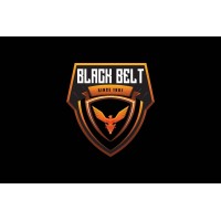 Black Belt Security Group logo - Similar company to Featherlite Evoma