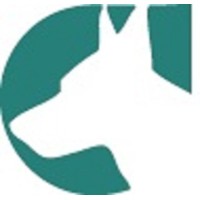Coneksis logo - Similar company to Brink Biologics - Proprietary Nk-92 ® Cells