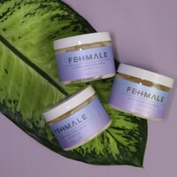 Fehmale logo - Similar company to Shazza