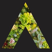 Ozark Green Roofs logo - Similar company to Osd