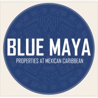 Blue Maya logo - Similar company to Decabyte It Solutions