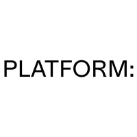 PLATFORM: logo - Similar company to No Wun Consulting