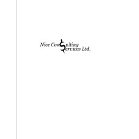 Nice Consulting logo - Similar company to Ergo China