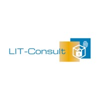 LIT-Consult logo - Similar company to Lit Consulting
