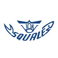 Squale SA logo - Similar company to Lumineth
