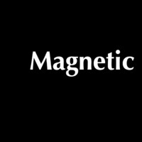 Magnetic Capital (Single Family Office) logo - Similar company to Sfoa - Swiss Single Family Office Association