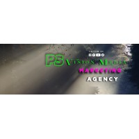 PS Vision Media Marketing Agency logo - Similar company to Kayapalat