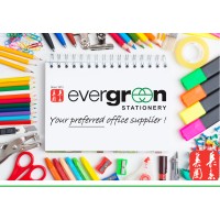 Evergreen Group Pte Ltd logo - Similar company to Hasten Technologies