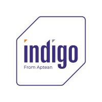 Indigo Software logo - Similar company to Indigosoft