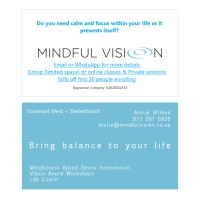 Mindful Vision logo - Similar company to Mindfulvision
