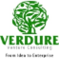 Verdure Venture Consulting