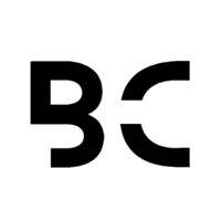 Boss Consulting logo - Similar company to Boss Team Consulting