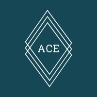 Ace HR Partners logo - Similar company to Wise Monkey Solutions