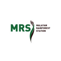 Malayan Rainforest Station (Mrs)