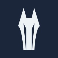 Digital Black Knight logo - Similar company to Digital Setup
