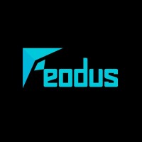 Feodus logo - Similar company to Pixel8Ai