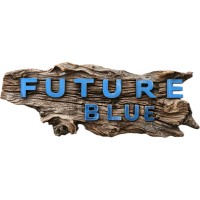 Future Blue Group logo - Similar company to Shower Pouch ™
