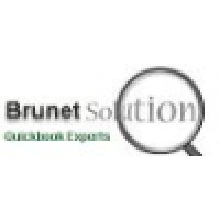 Brunet Solutions logo - Similar company to Macroserv Techno Solutions Pvt Ltd