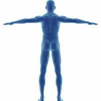 Natural Healthcare Clinic logo - Similar company to Bio-Vital Men'S Clinic