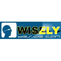 Shenzhen Wisely Laser Machinery Co., Limited logo - Similar company to Advant Master Time D.O.O.