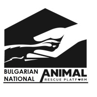Bulgarian National Animal Rescue Platform - Подай лапа! logo - Similar company to Tierhelden.Net