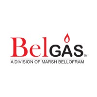 BelGAS logo - Similar company to Utility Solutions Group
