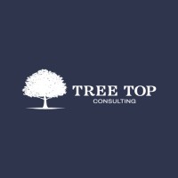 Tree Top Consulting NI logo - Similar company to Top 3