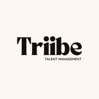 Triibe Talent logo - Similar company to Driveease