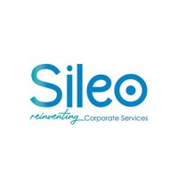 SILEO Corporate Services Ltd logo - Similar company to Dnsconsult