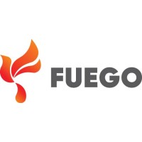 Fuego Electronics logo - Similar company to Qlupod