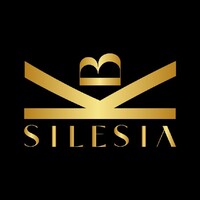 Grupa Silesia logo - Similar company to Beta Security Iso Sp. Z O. O.