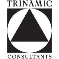 Trinamic Consultants logo - Similar company to Teks Engineering